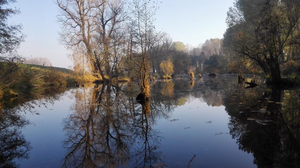 ZOOPARK Zelčín Melnik Exterior foto