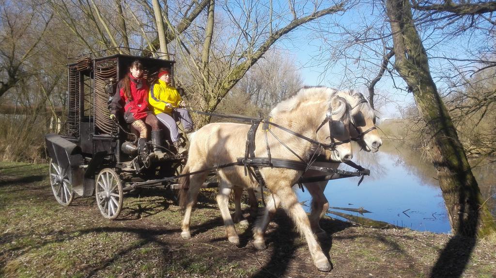 ZOOPARK Zelčín Melnik Exterior foto