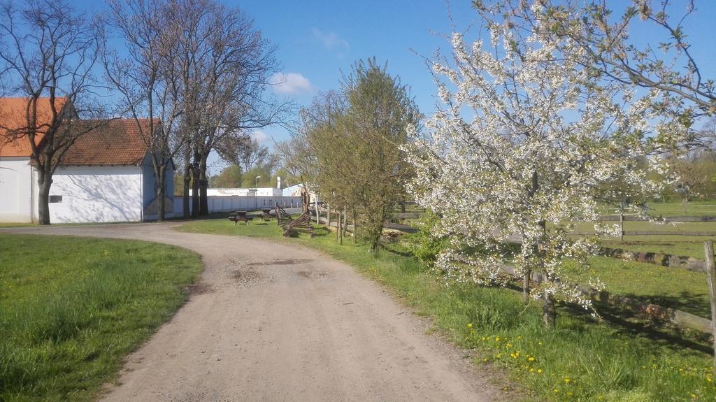 ZOOPARK Zelčín Melnik Exterior foto